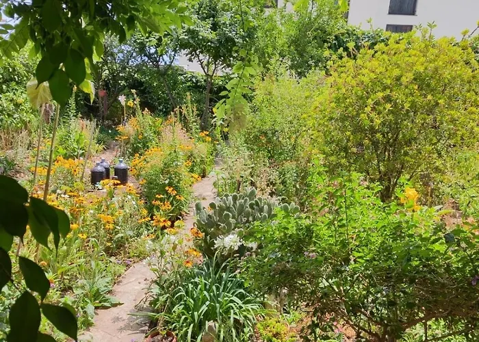 With Parking Space Orebic, Peljesac - 24769